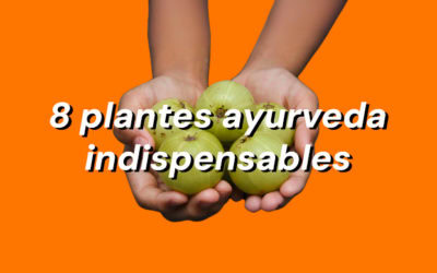 Plantes ayurvédiques, zoom sur 8 indispensables, leurs usages et bienfaits