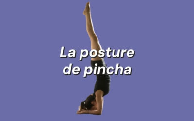 Pincha mayurasana 🤸‍♀️ L’équilibre sur les avant-bras